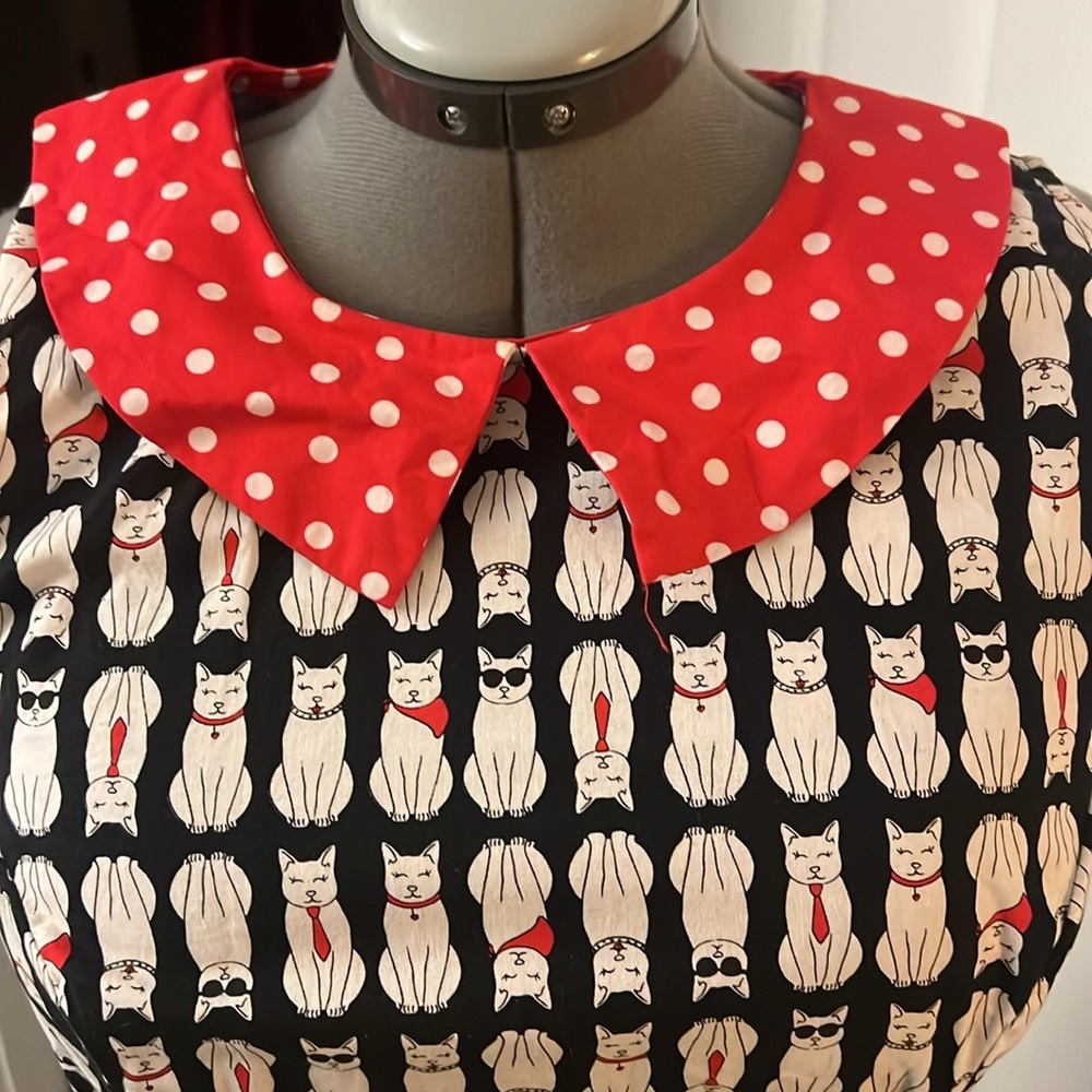 Charming Polka Dot Collar Retrolicious Dress from ModCloth - Picture 2 of 7